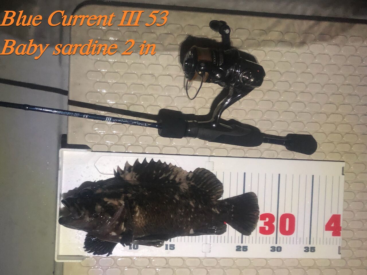 ロッド｜インプレ】ブルーカレントIII 53の1stインプレ（メバリング3回