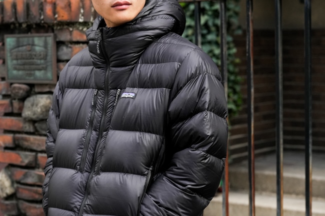 PATAGONIA [パタゴニア] Fitz Roy Down Hoody