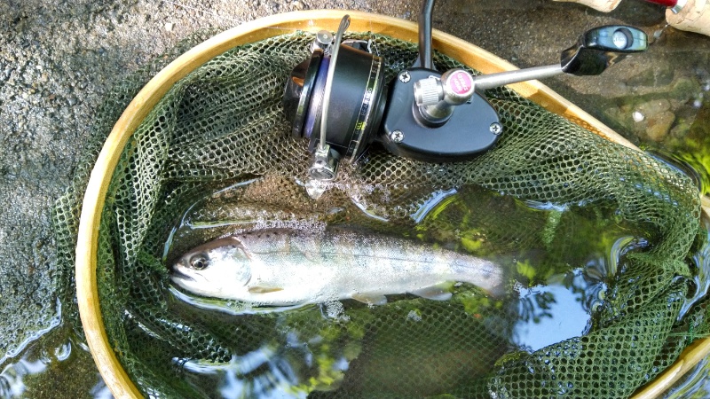 インプレ】ガルシア 3800【ちょっとマイナーなオールドリール】 | lurecafe