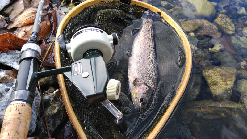 インプレ】アブ カーディナル33【渓流ルアーと言えばやっぱりコレ