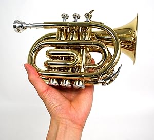 Amazon.co.jp: Kaerntner ケルントナー ポケットトランペット KTR-33P