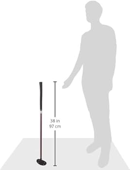 Amazon | MIZUNO(ミズノ) パークゴルフ クラブ PG509 ユニセックス 左