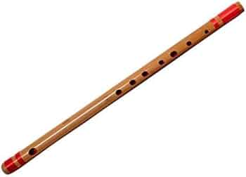 21AIjnJanyL._AC_UF350,