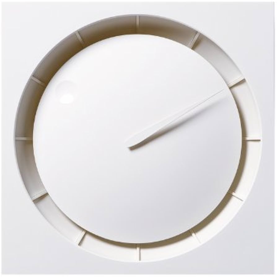 Amazon.co.jp: Lemnos (レムノス) 掛け時計 アナログ ホーラ 白 HOLA