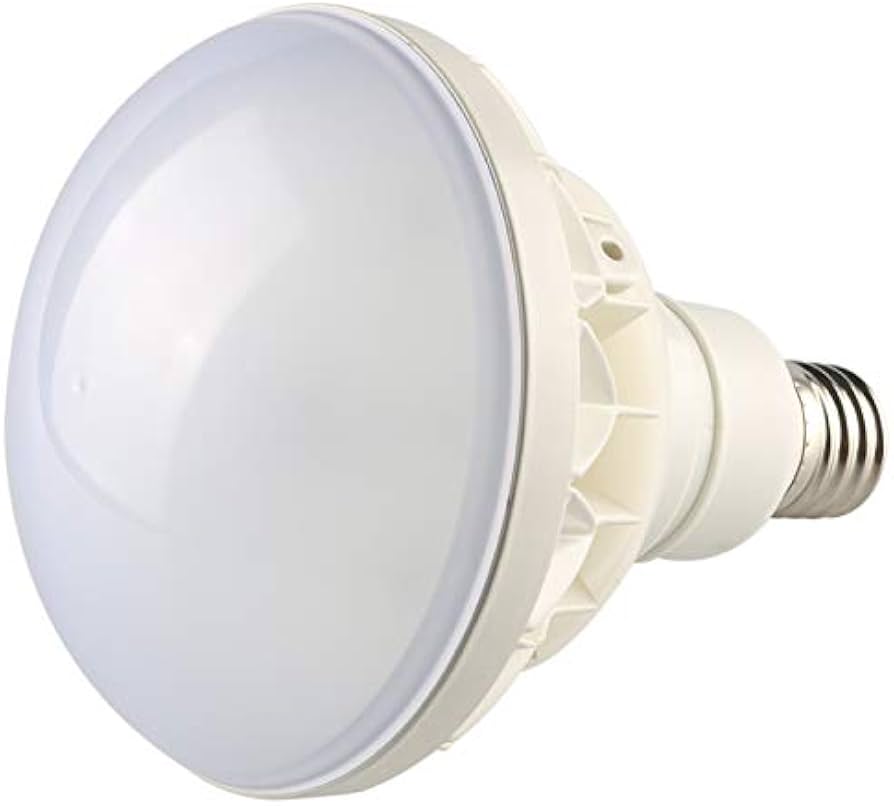 Amazon | パラストレス 水銀灯代替 バラストレス水銀灯LED 水銀灯から