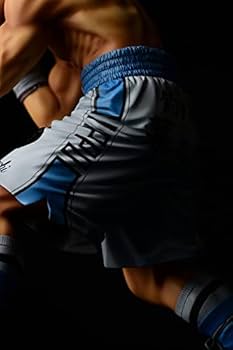 Amazon | オルカトイズ はじめの一歩 幕之内一歩 -fighting pose