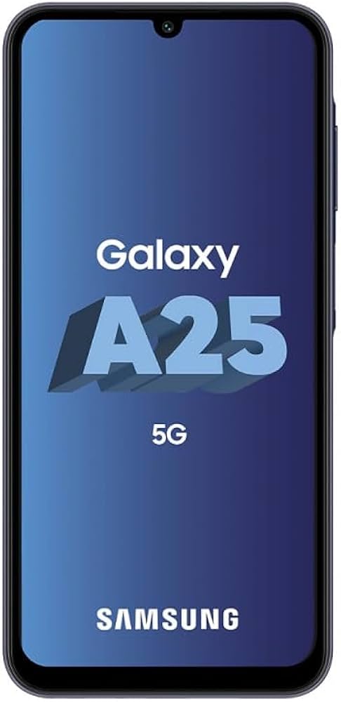 Samsung A256B/DSN Galaxy A25 5G (6.5'' - 6/128GB) Black : Amazon