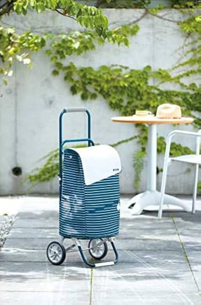 フランス購入新品未使用 薪用かごカート k40_11.jpg