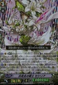 41OYa-f6aDL._AC_UF350,