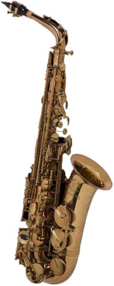 Amazon | Cannonball AVR-L アルトサックス Vintage Reborn Series