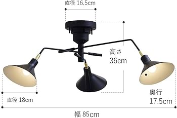 Amazon.co.jp : インターフォルム シーリングライト LT-9520BK ロネ