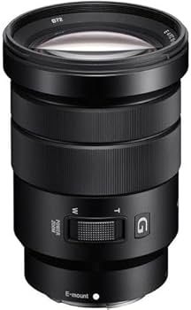 Amazon.com : Sony SELP18105G E PZ 18-105mm F4 G OSS , Black