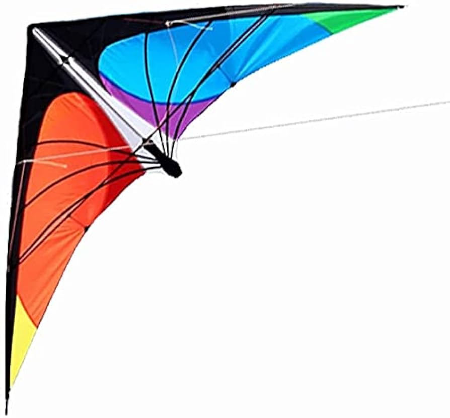Amazon.co.jp: 凧 カイト 大人用カイト、スタントカイト、デュアル