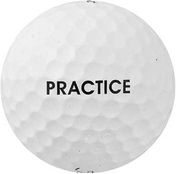 Amazon | Titleist Pro V1 Practise Golf Balls, White (One Dozen