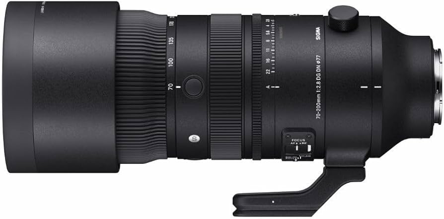 Amazon.com : 70-200mm F2.8 DG DN OS for Sony : Electronics
