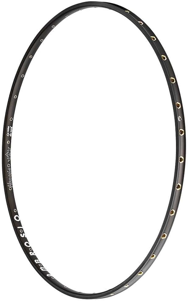 Ambrosio Nemesis 700cチューブラーリム 32H 2本セット