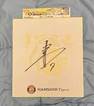 512sJDfYFlL._AC_UF350,