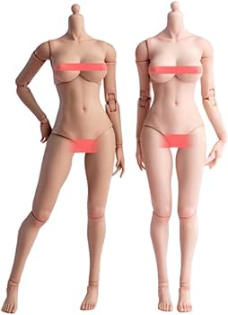 Amazon.co.jp: HiPlay Worldbox 1/6 女性 素体 モデル 可動 アクション