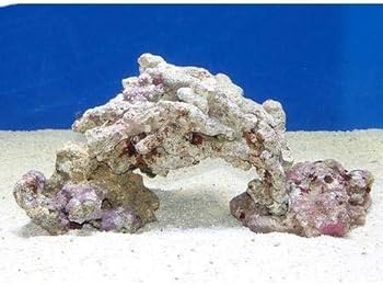 Amazon | （海水魚）ライブロック 30cm水槽用アーチセット（形状お