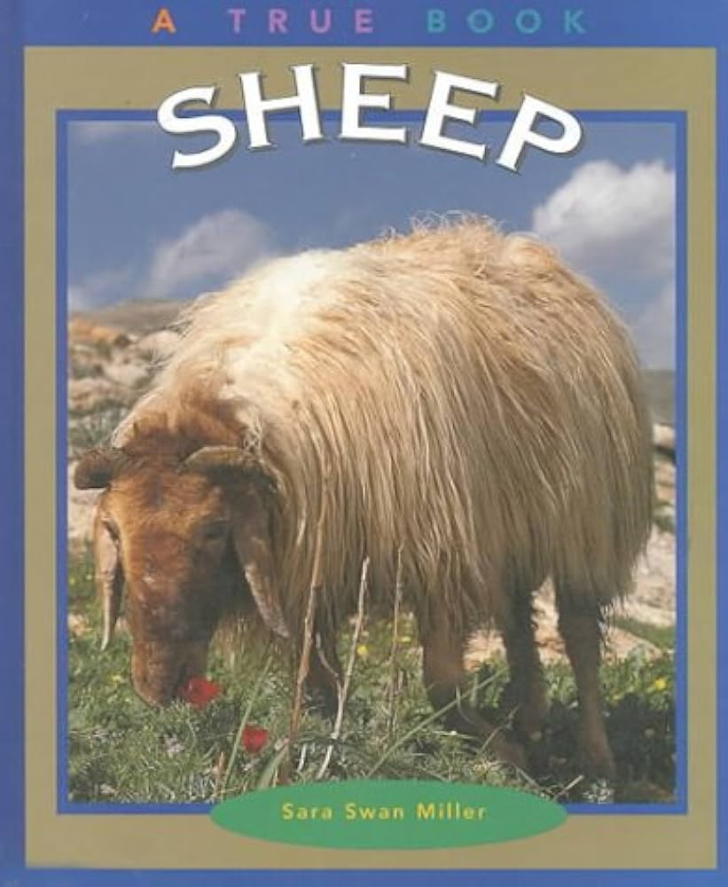 Amazon | Sheep (True Books: Animals) | Miller, Sara Swan | Farm