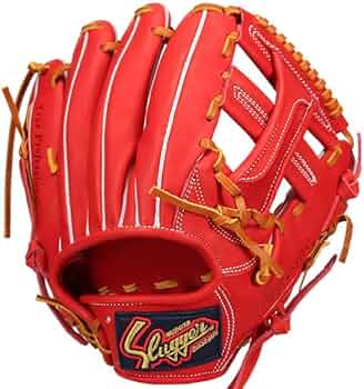 51IO38sIGzL._AC_UF350,