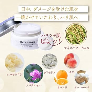 Amazon | ライスビギン プログレス ナイトクリーム No.11 30グラム 2