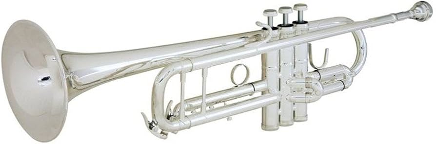Amazon.com: B&S 3137-S Challenger 1 Professional Bb Trumpet