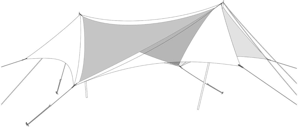 Amazon | スノーピーク(snow peak) HDタープヘキサエヴォPro.TAKIBI