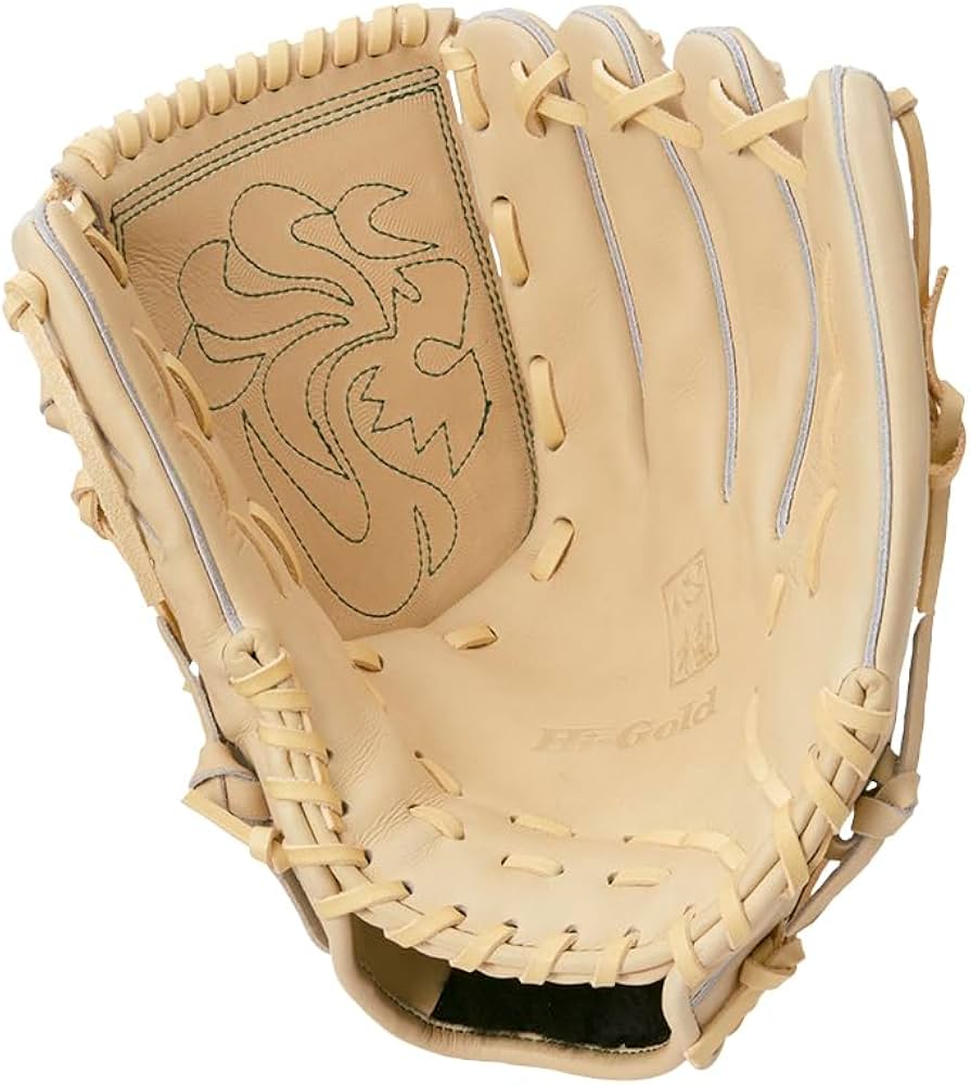 Amazon | HI-GOLD ハイゴールド 一般硬式用グラブ 心極 KKG-2401