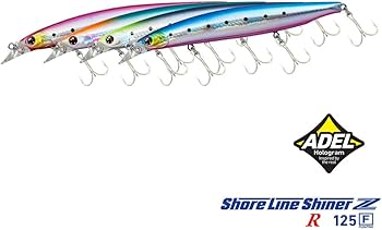 ダイワ モアザン ポーチ バーティスR セット morethan vertice Amazon