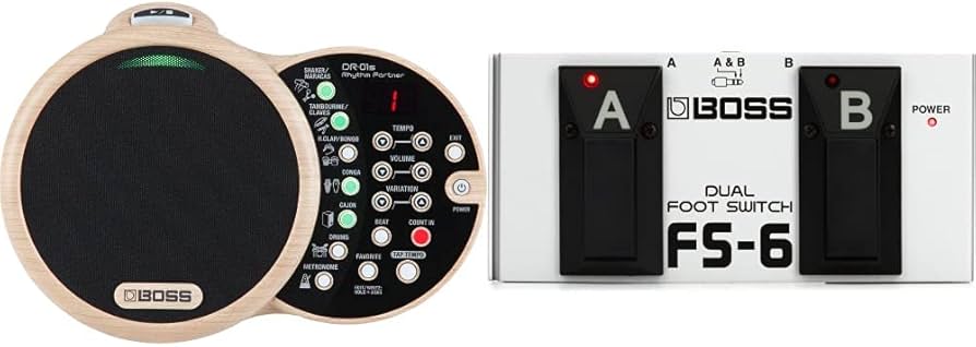 Amazon.com: Boss DR-01S Rhythm Partner and FS-6 Dual Foot Switch