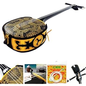 Amazon.co.jp: 三線 - 弦楽器: 楽器・音響機器