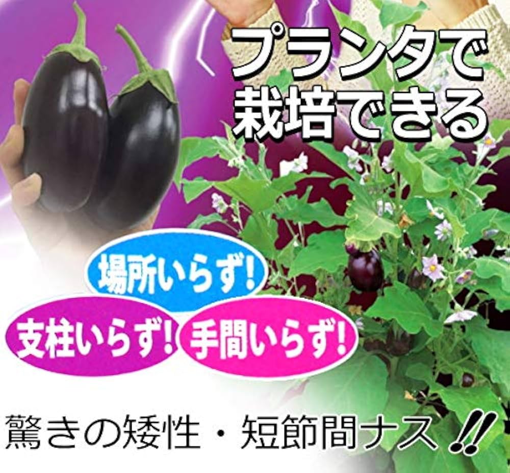 なす様確認用 なす様確認用 階数表示板 切文字タイプ KS-EX04F | 表示