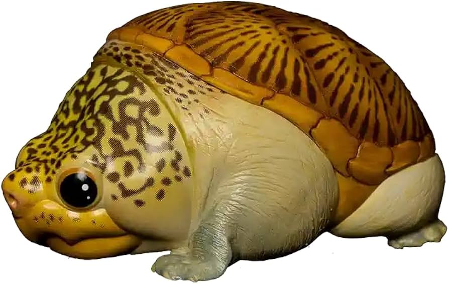 Amazon | 【動物の惑星】ハラガケガメ フィギュア完成品