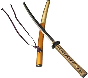 51sIrYjwwmL._AC_UF350,