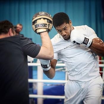 Amazon | RIVAL(ライバル) ボクシング RB5 バッグミットグローブ ベア