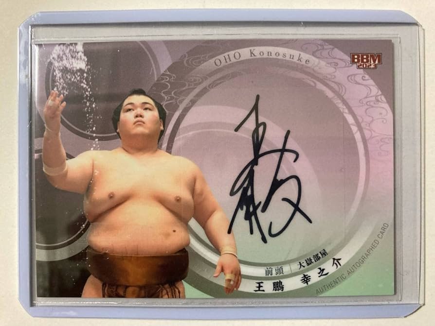 Amazon.co.jp: 王鵬 幸之介BBM 2023 大相撲カード直筆サインカード60枚