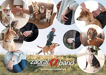 Amazon.co.jp: ザオラル リカバリーαバンド グリーン/シルバー サイズ