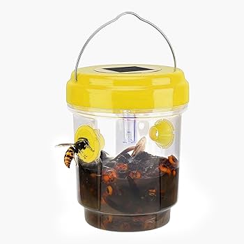 61x7nrWjzhL._AC_UF350,