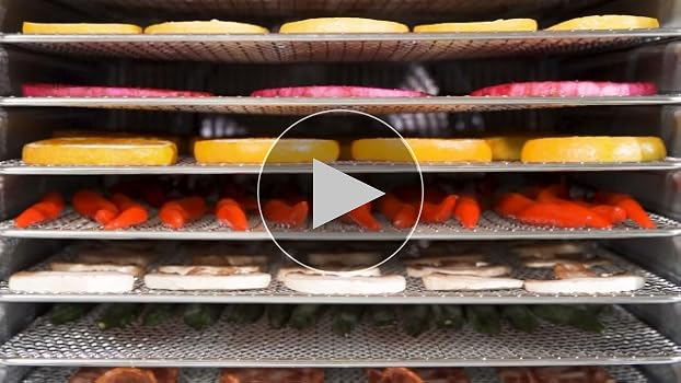 Amazon.co.jp: Kwasyo 8層ステンレス鋼制フードドライヤー 700W高効率