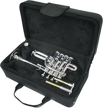 Amazon | 【国内正規品】 PLAYTECH プレイテック ピッコロトランペット