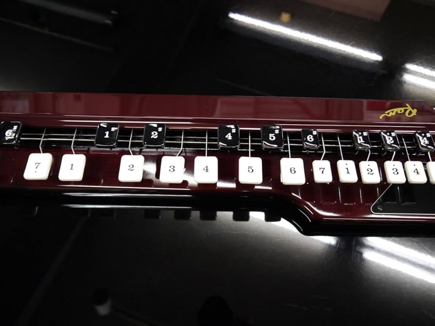 Amazon | スズキ電気大正琴「蘭」バス（中古整備品） | 大正琴 | 楽器