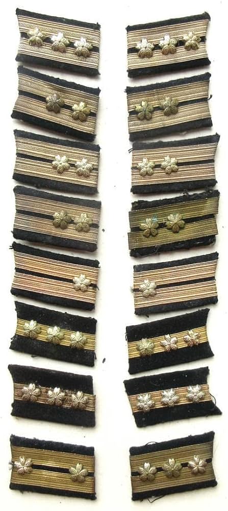 Amazon.co.jp: 旧日本軍 海軍 大佐～大尉 襟章セット 階級章 : おもちゃ