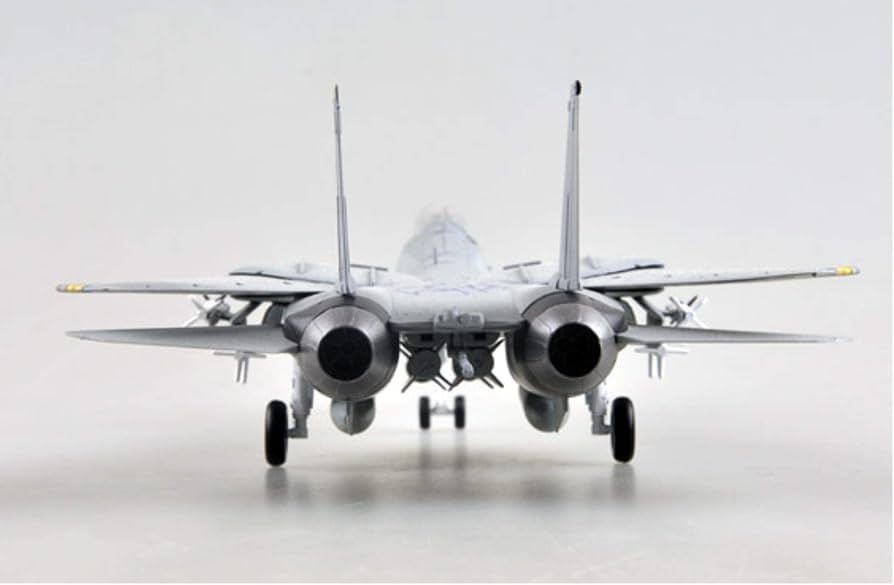 Century wings 1/72 F-14Dトムキャット VF-213 F-14D Tomcat 1:72