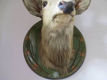 Amazon.co.jp: 【エゾシカ剥製】壁掛け美形オス雄角ツノ鹿シカしか