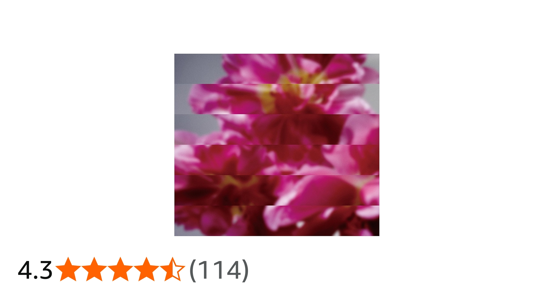 Amazon.co.jp: 何度でも新しく生まれる: ミュージック