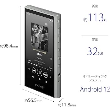 Amazon.co.jp: ソニー(SONY) ウォークマン 32GB A300シリーズ NW-A306