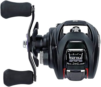 Amazon | ダイワ(DAIWA) ベイトリール 19 タトゥーラ TW 100XHL(2019