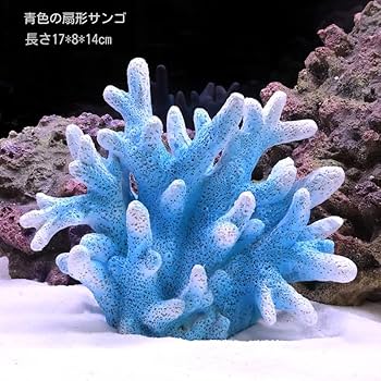 Amazon | 人工珊瑚 サンゴ 水槽 コーラル オブジェ レプリカ