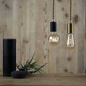 Amazon.co.jp: エジソンスマート おしゃれなスマート電球 単品